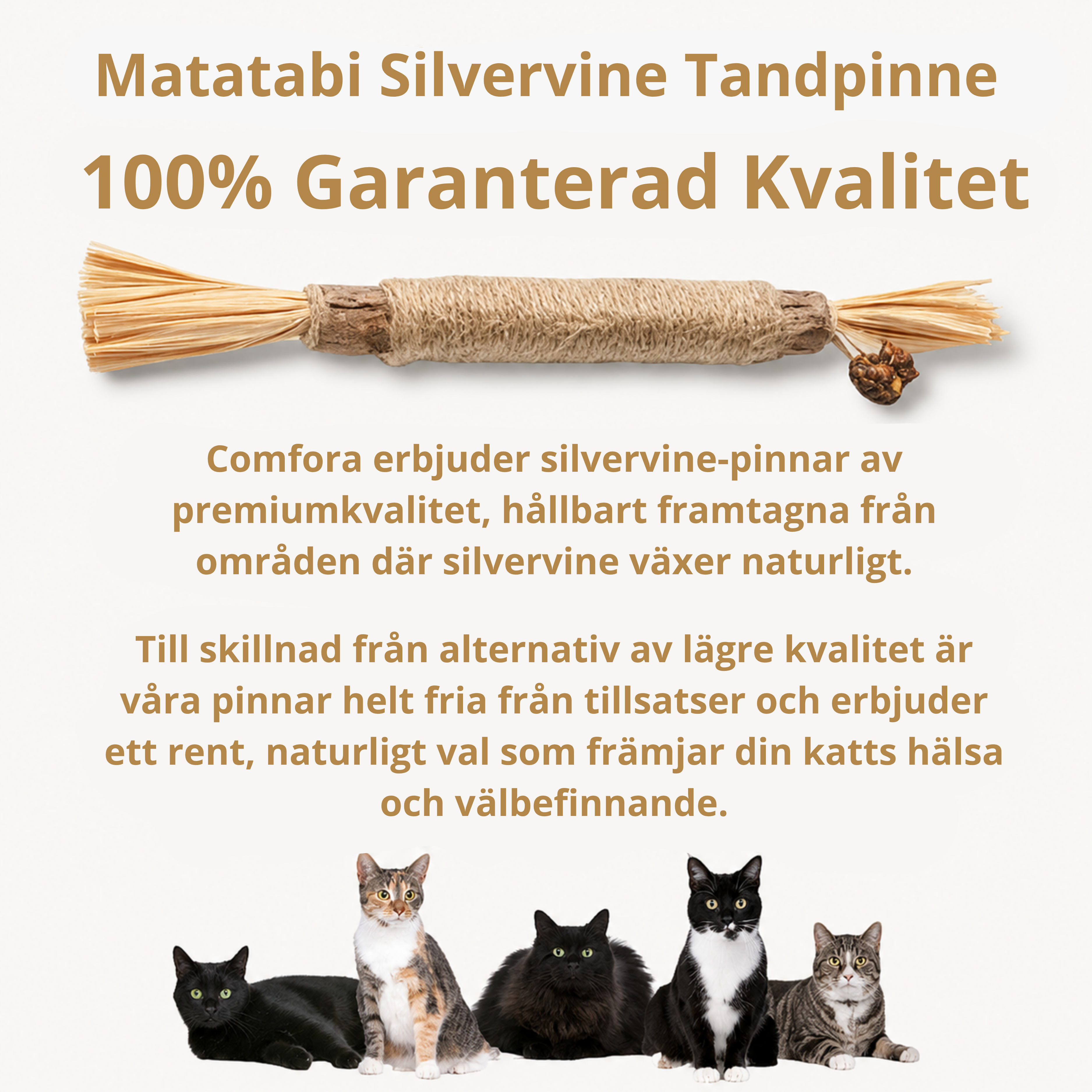 Matatabi Silvervine Tuggpinne